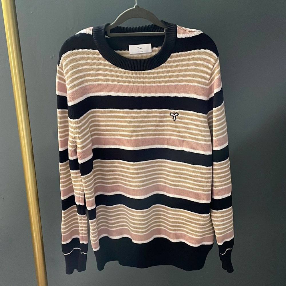 Tna (Aritzia) striped crew neck sweater.